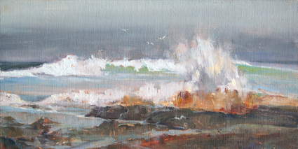 Just south of Crystal Cove State Park there is an out coping of rocks that extend into the ocean